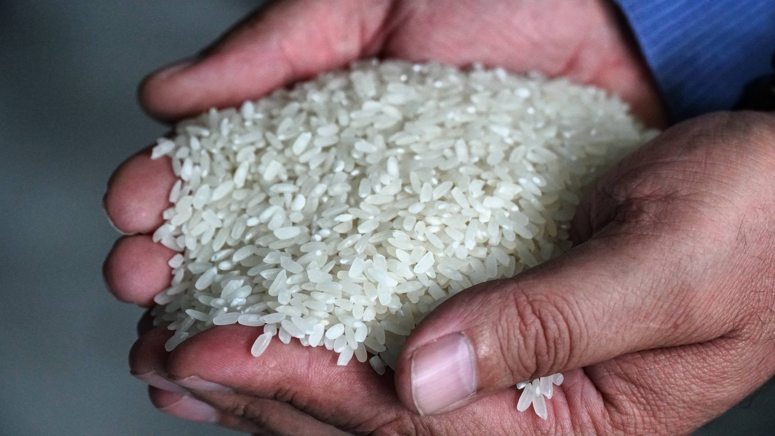 Более 20 инвестпроектов по переработке сельхозпродукции получили поддержку в 2024–2025 годах в Дагестане